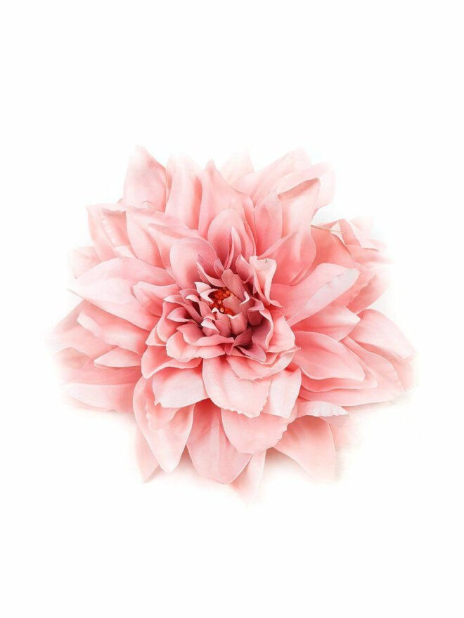 Dália fejvirág - Rózsaszín