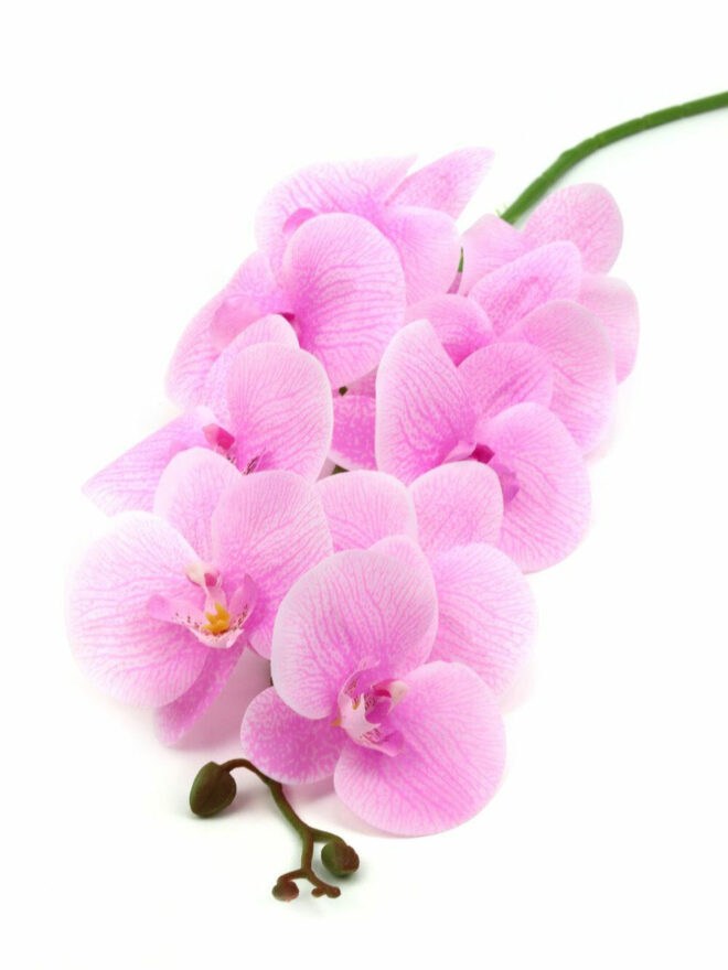 9 virág fejes orchidea ág - Rózsaszín