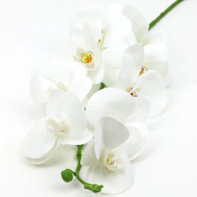 9 virág fejes orchidea ág – Több színben