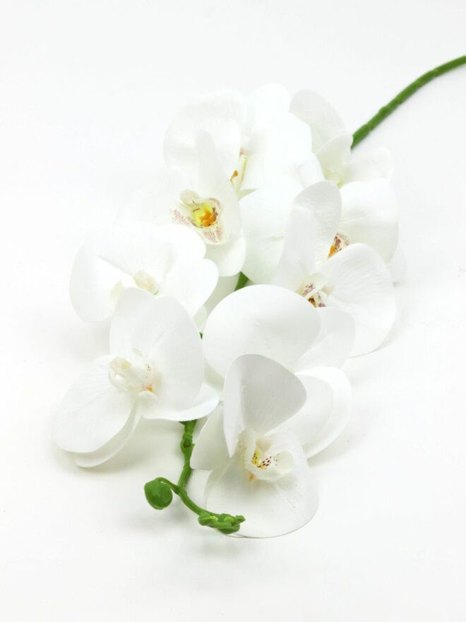 9 virág fejes orchidea ág - Fehér