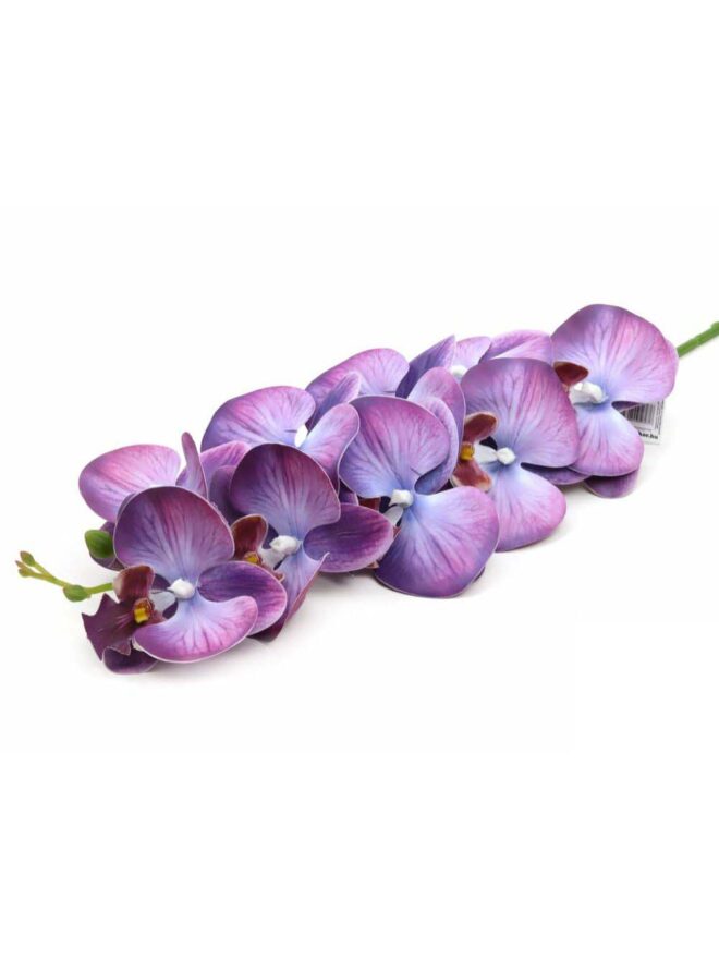 Orchidea ág - Cirmos lila