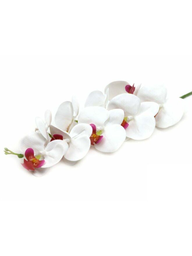 Orchidea ág - Fehér