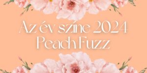 Megérkezett a 2024-es év színe: Peach Fuzz